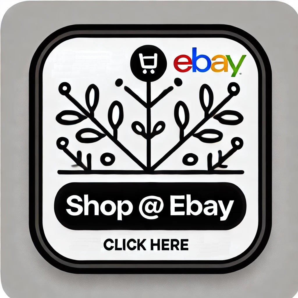 eBay Logo